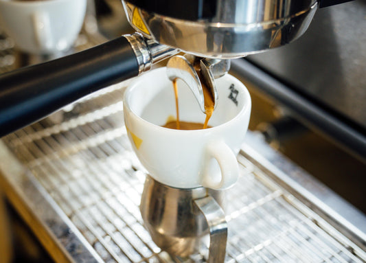 Barista Basics Video Training
